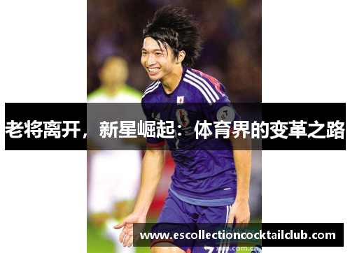 老将离开，新星崛起：体育界的变革之路